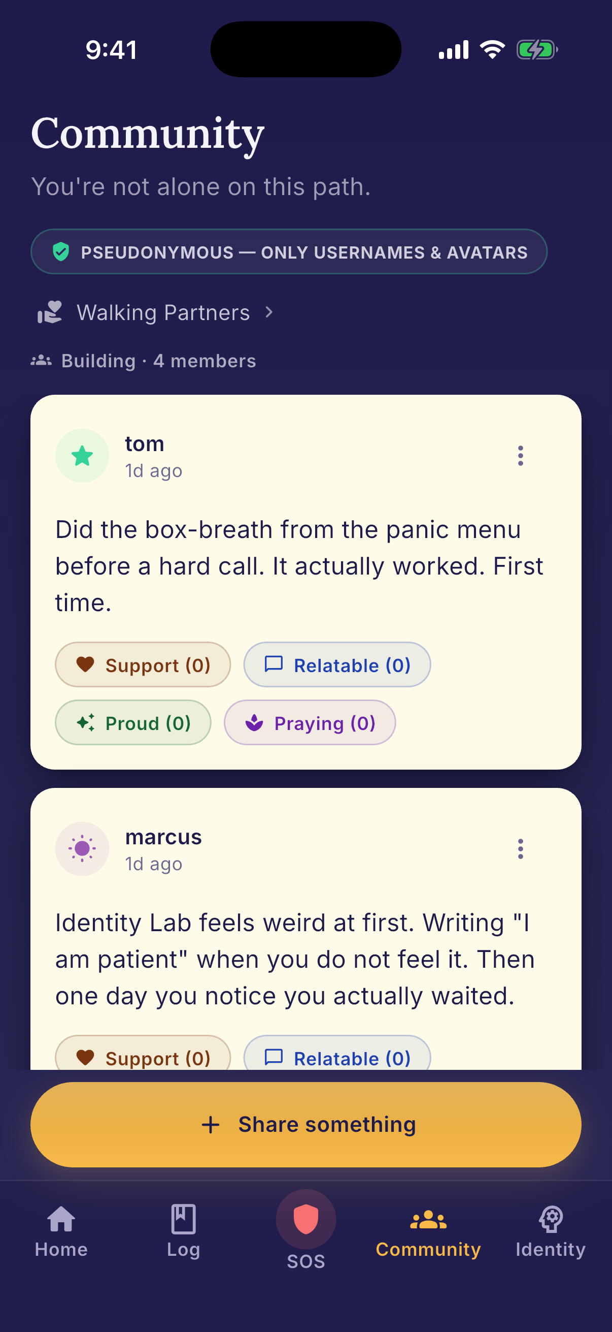 Pseudonymous community feed with cohort posts and accountability pairing